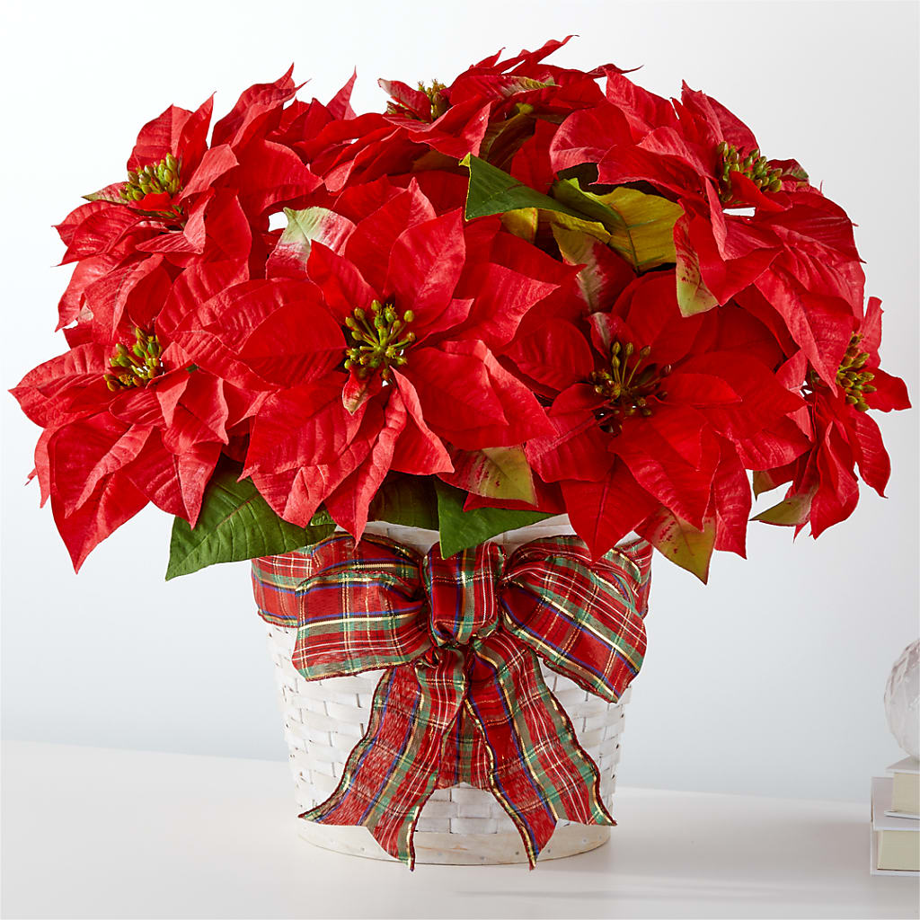 Happiest Holidays Poinsettia – FORGET ME NOT FLOWERS & GIFTS, Walnut Creek CA