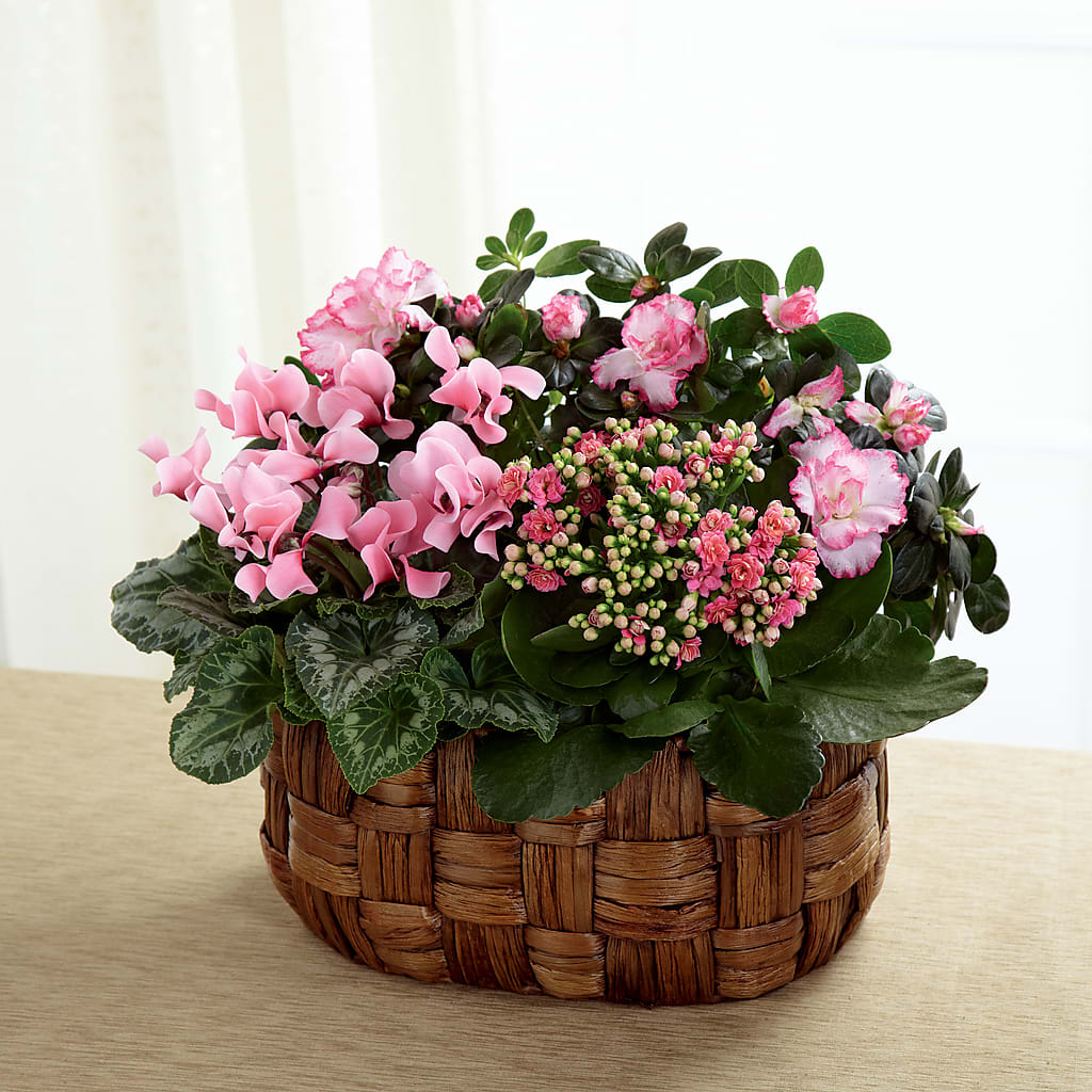 Pink Assortment – FORGET ME NOT FLOWERS & GIFTS, Walnut Creek CA