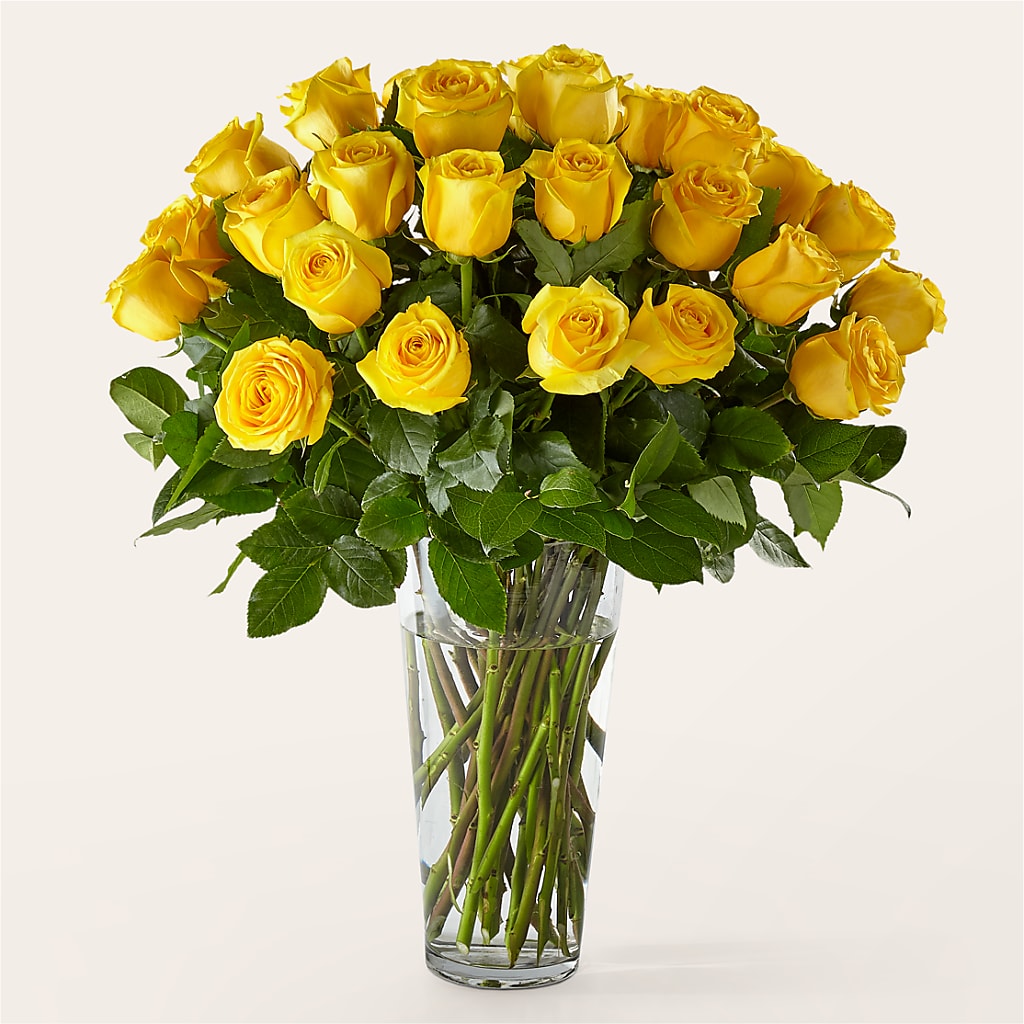 Long Stem Yellow Rose Bouquet – FORGET ME NOT FLOWERS & GIFTS, Walnut Creek CA