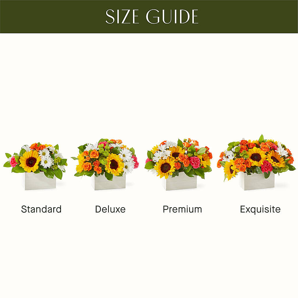Sun-drenched Blooms Box Bouquet – FORGET ME NOT FLOWERS & GIFTS, Walnut Creek CA