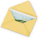 Greeting Card – FORGET ME NOT FLOWERS & GIFTS, Walnut Creek CA