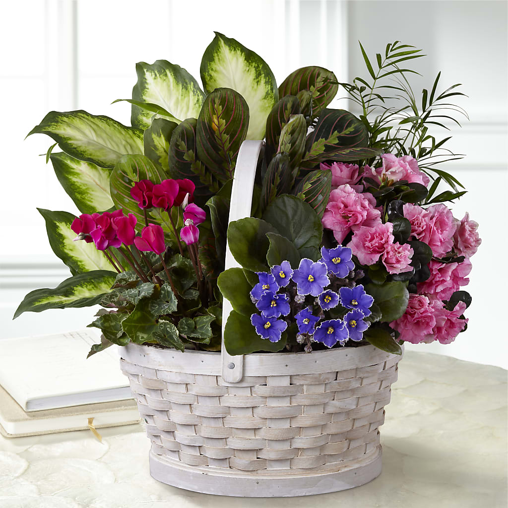 Peaceful Garden Planter – FORGET ME NOT FLOWERS & GIFTS, Walnut Creek CA