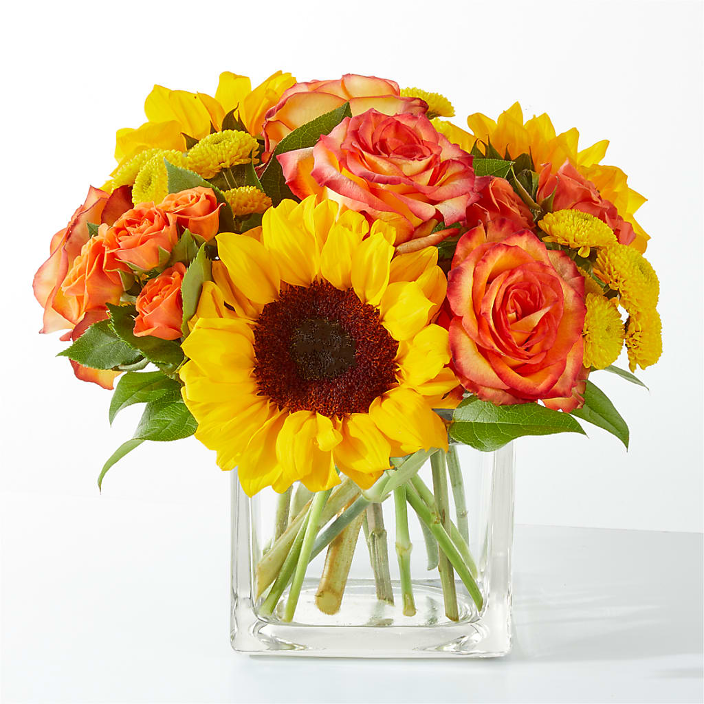 Picnic in the Park Bouquet – FORGET ME NOT FLOWERS & GIFTS, Walnut Creek CA