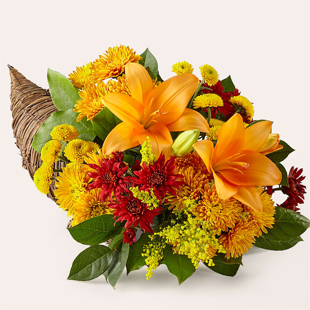 Feast of Color Cornucopia – FORGET ME NOT FLOWERS & GIFTS, Walnut Creek CA