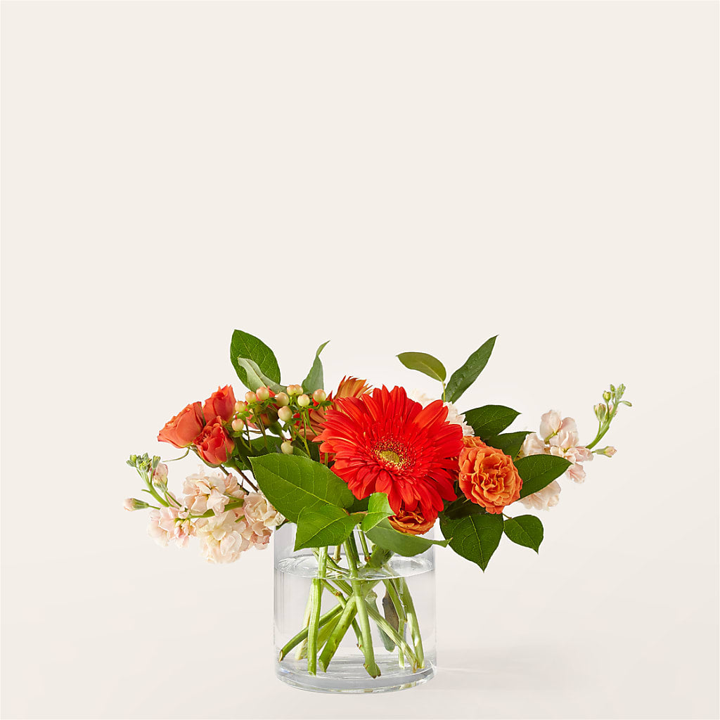 Paloma Please Bouquet – FORGET ME NOT FLOWERS & GIFTS, Walnut Creek CA