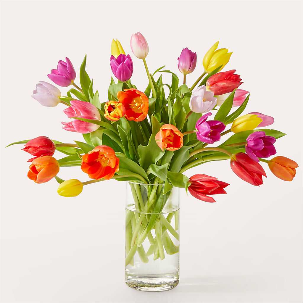 Let's Talk Tulips Bouquet – FORGET ME NOT FLOWERS & GIFTS, Walnut Creek CA