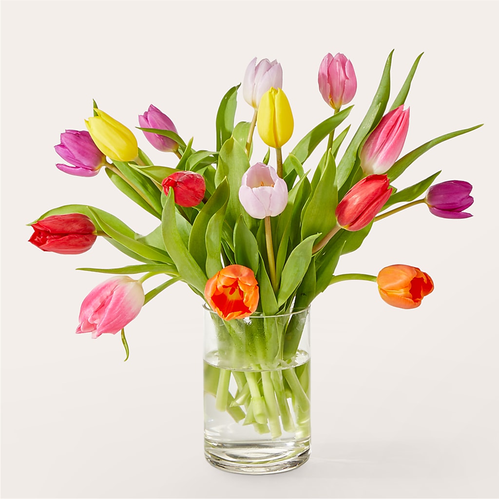 Let's Talk Tulips Bouquet – FORGET ME NOT FLOWERS & GIFTS, Walnut Creek CA