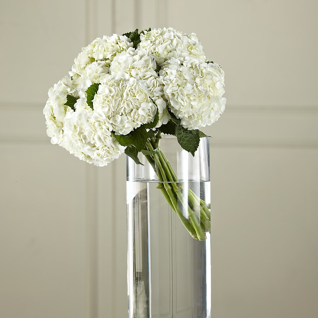 White Hydrangea Hand-Tied Bouquet – FORGET ME NOT FLOWERS & GIFTS, Walnut Creek CA