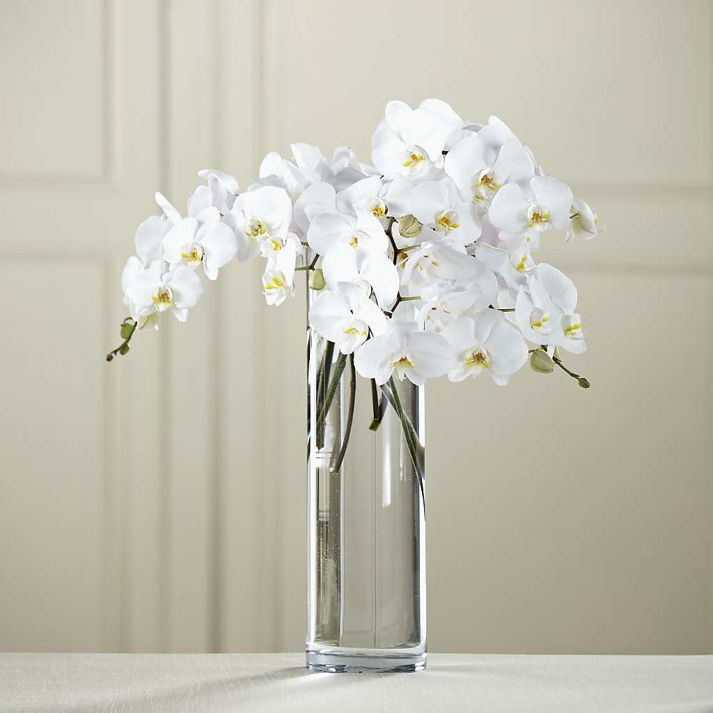 White Phalaenopsis Bouquet – FORGET ME NOT FLOWERS & GIFTS, Walnut Creek CA