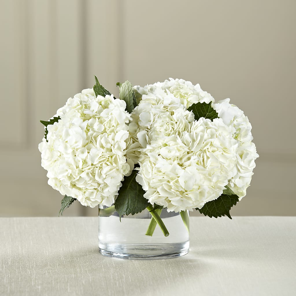 White Hydrangea Bouquet – FORGET ME NOT FLOWERS & GIFTS, Walnut Creek CA