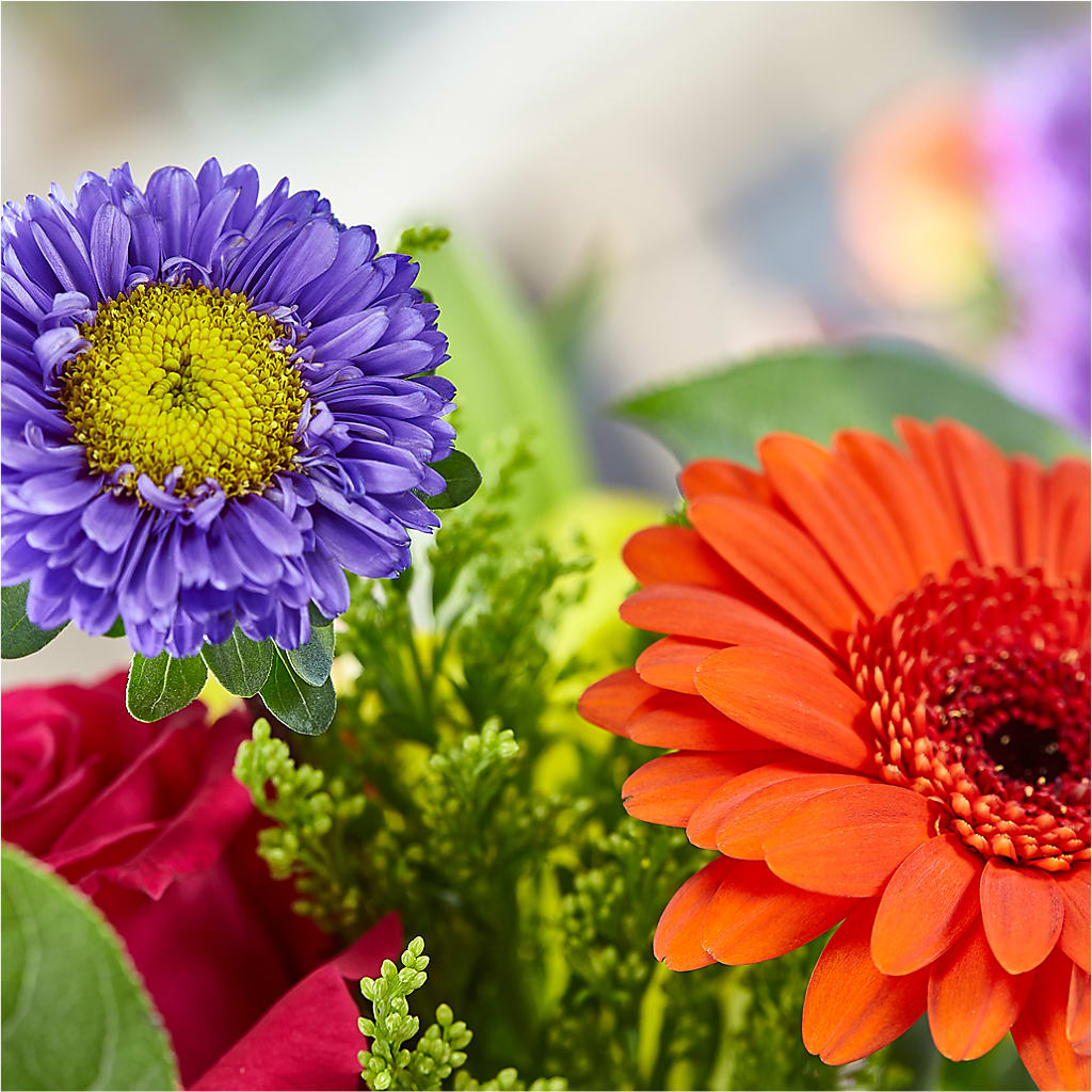 Bold & Bright – A Florist Original – FORGET ME NOT FLOWERS & GIFTS, Walnut Creek CA