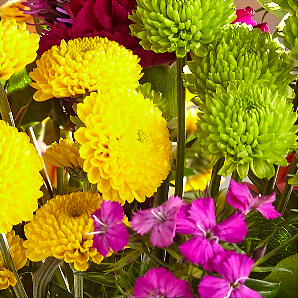 Bold & Bright – A Florist Original – FORGET ME NOT FLOWERS & GIFTS, Walnut Creek CA