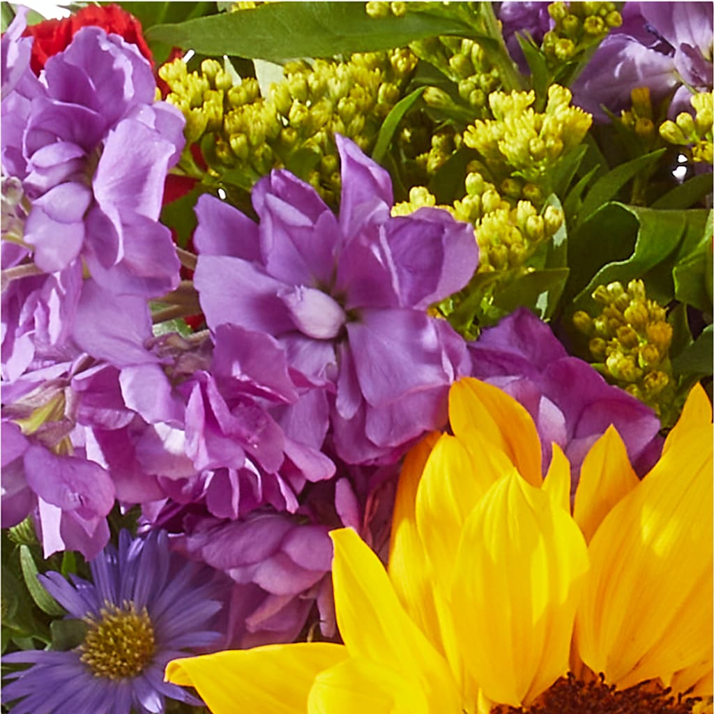 Celebrating You Bouquet – FORGET ME NOT FLOWERS & GIFTS, Walnut Creek CA