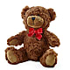 Adorable Plush Bear – FORGET ME NOT FLOWERS & GIFTS, Walnut Creek CA