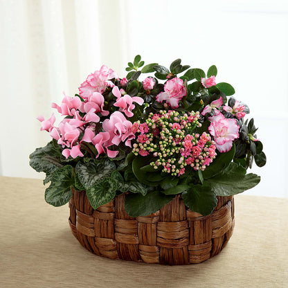 Pink Assortment – FORGET ME NOT FLOWERS & GIFTS, Walnut Creek CA
