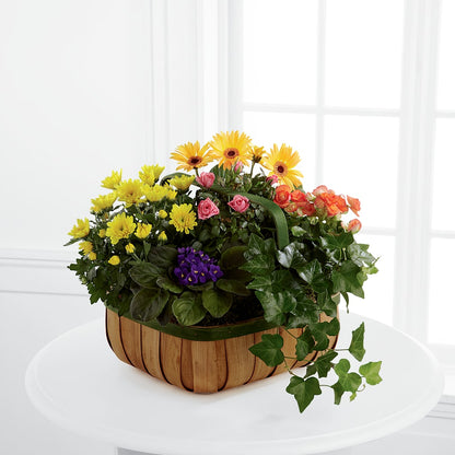 Gentle Blossoms Basket – FORGET ME NOT FLOWERS & GIFTS, Walnut Creek CA