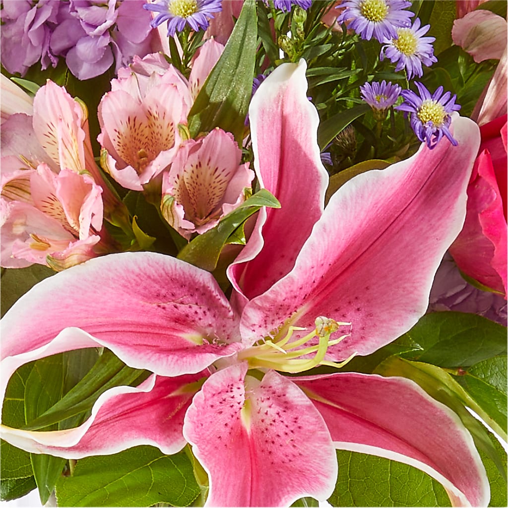 Written in the Stars Bouquet – FORGET ME NOT FLOWERS & GIFTS, Walnut Creek CA