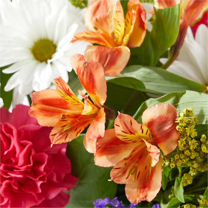 Oopsie Daisy Box Bouquet – FORGET ME NOT FLOWERS & GIFTS, Walnut Creek CA