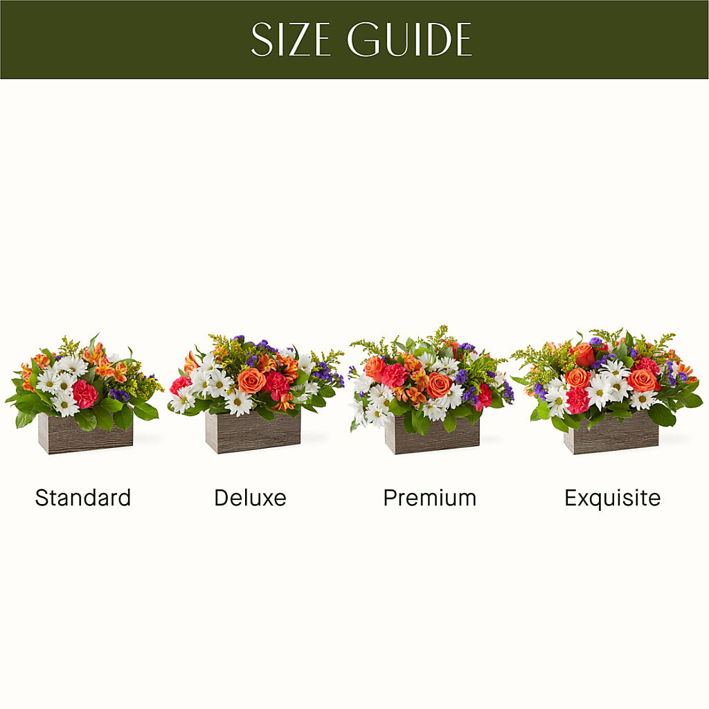 Oopsie Daisy Box Bouquet – FORGET ME NOT FLOWERS & GIFTS, Walnut Creek CA