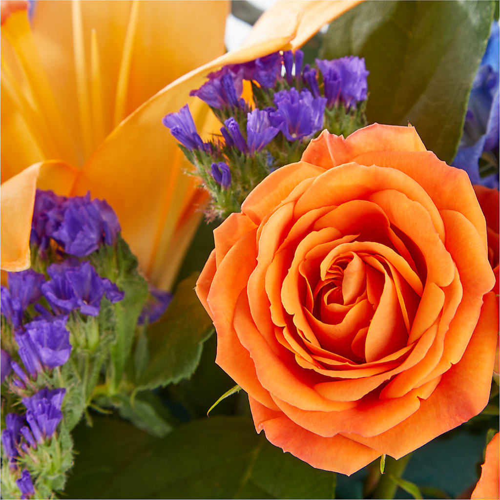 Radiant Citrus Box Bouquet – FORGET ME NOT FLOWERS & GIFTS, Walnut Creek CA