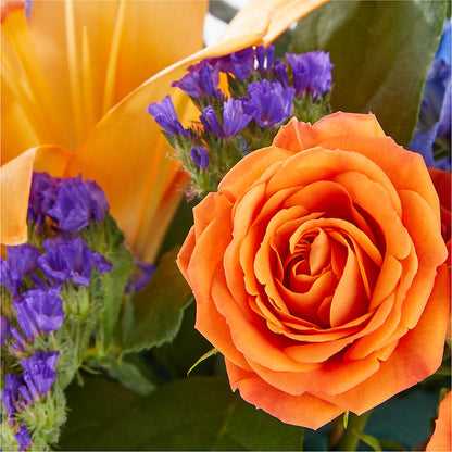 Radiant Citrus Box Bouquet – FORGET ME NOT FLOWERS & GIFTS, Walnut Creek CA