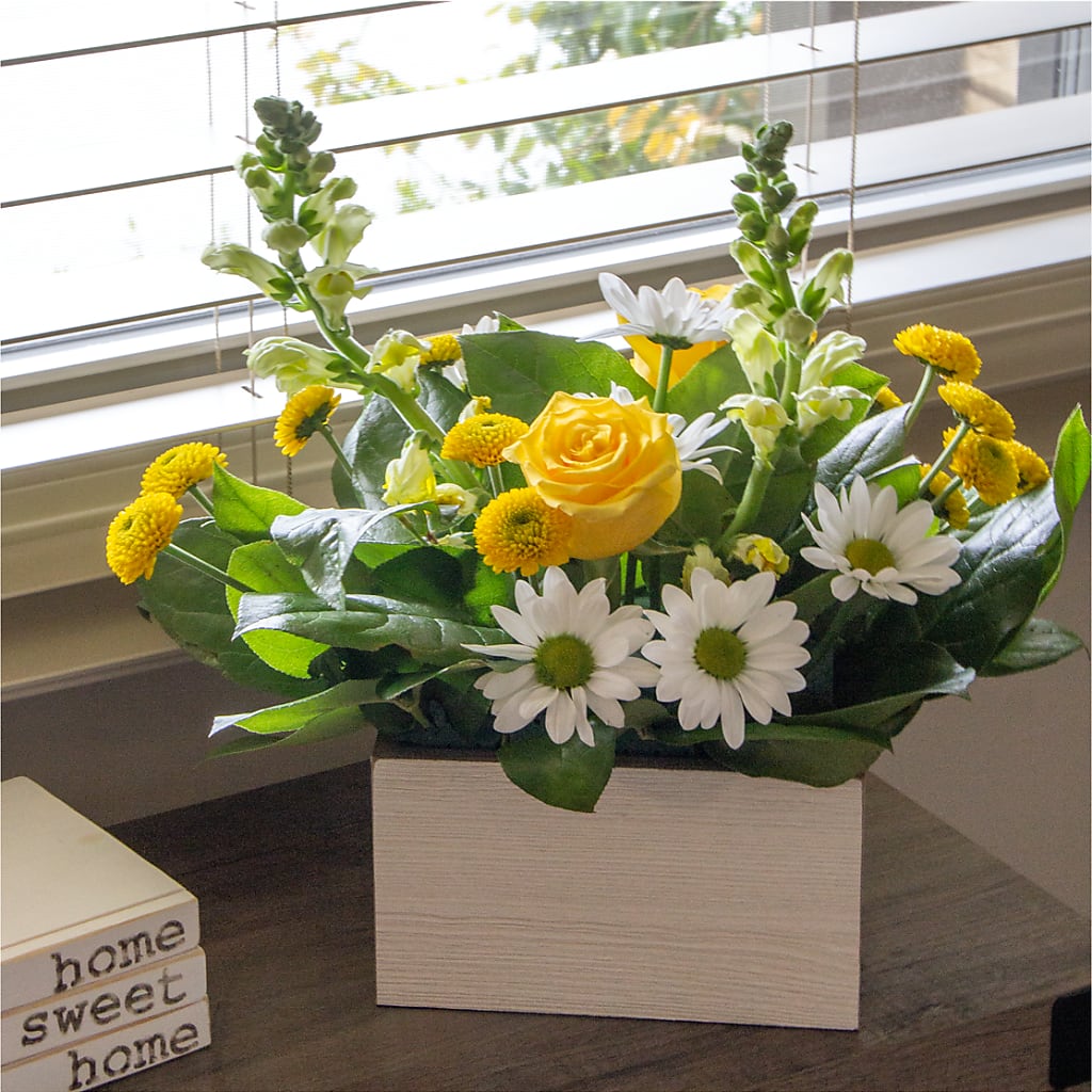 Sun Salutation Box Bouquet – FORGET ME NOT FLOWERS & GIFTS, Walnut Creek CA