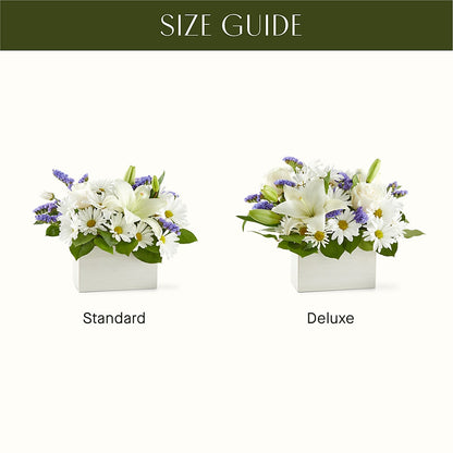 Beyond Blue Box Bouquet – FORGET ME NOT FLOWERS & GIFTS, Walnut Creek CA