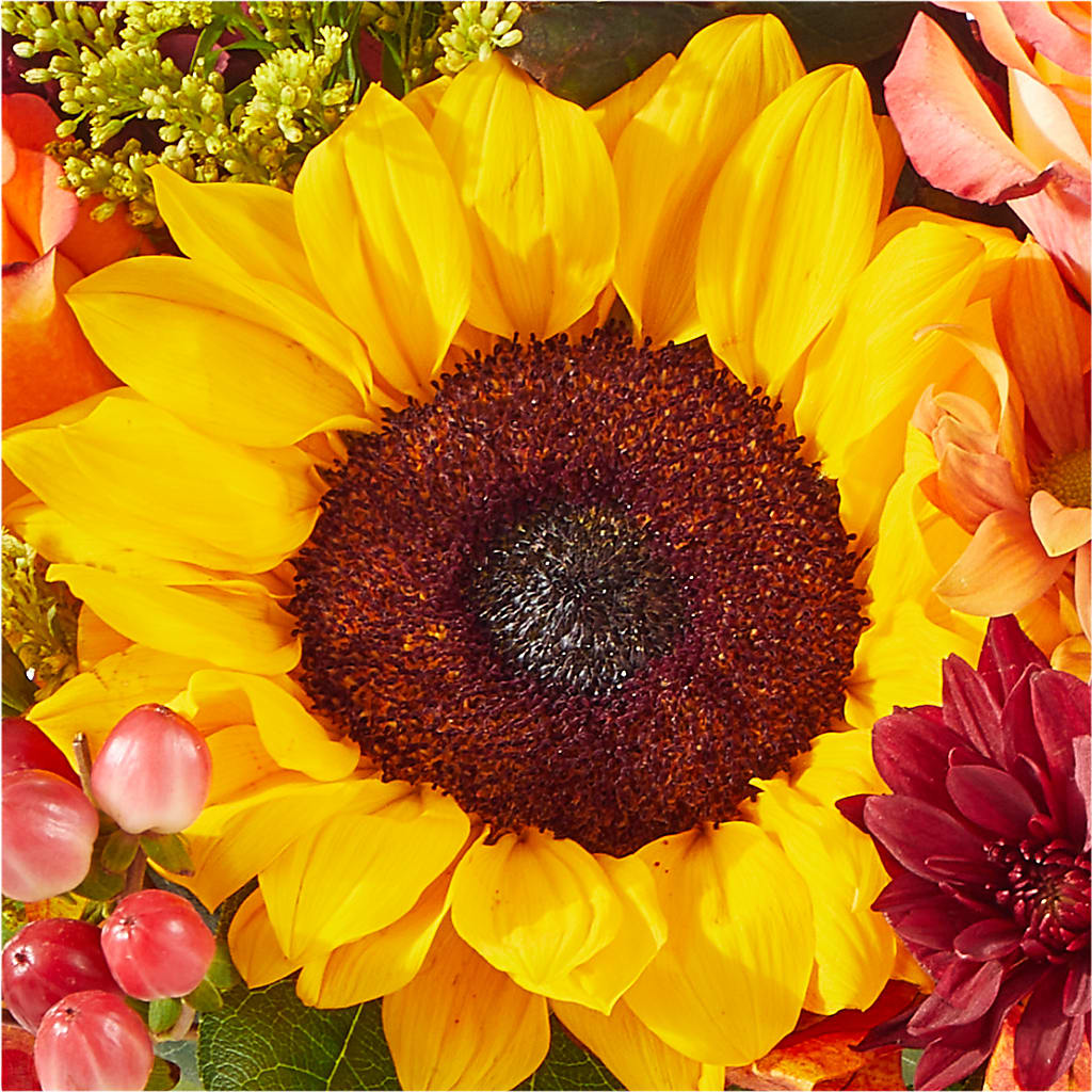 The Outdoors Bouquet – FORGET ME NOT FLOWERS & GIFTS, Walnut Creek CA