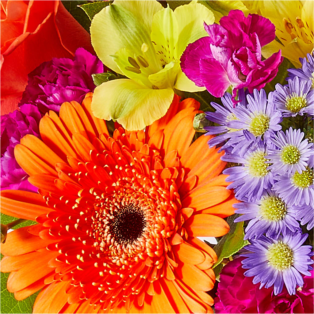 Tricks & Treats Pumpkin – FORGET ME NOT FLOWERS & GIFTS, Walnut Creek CA