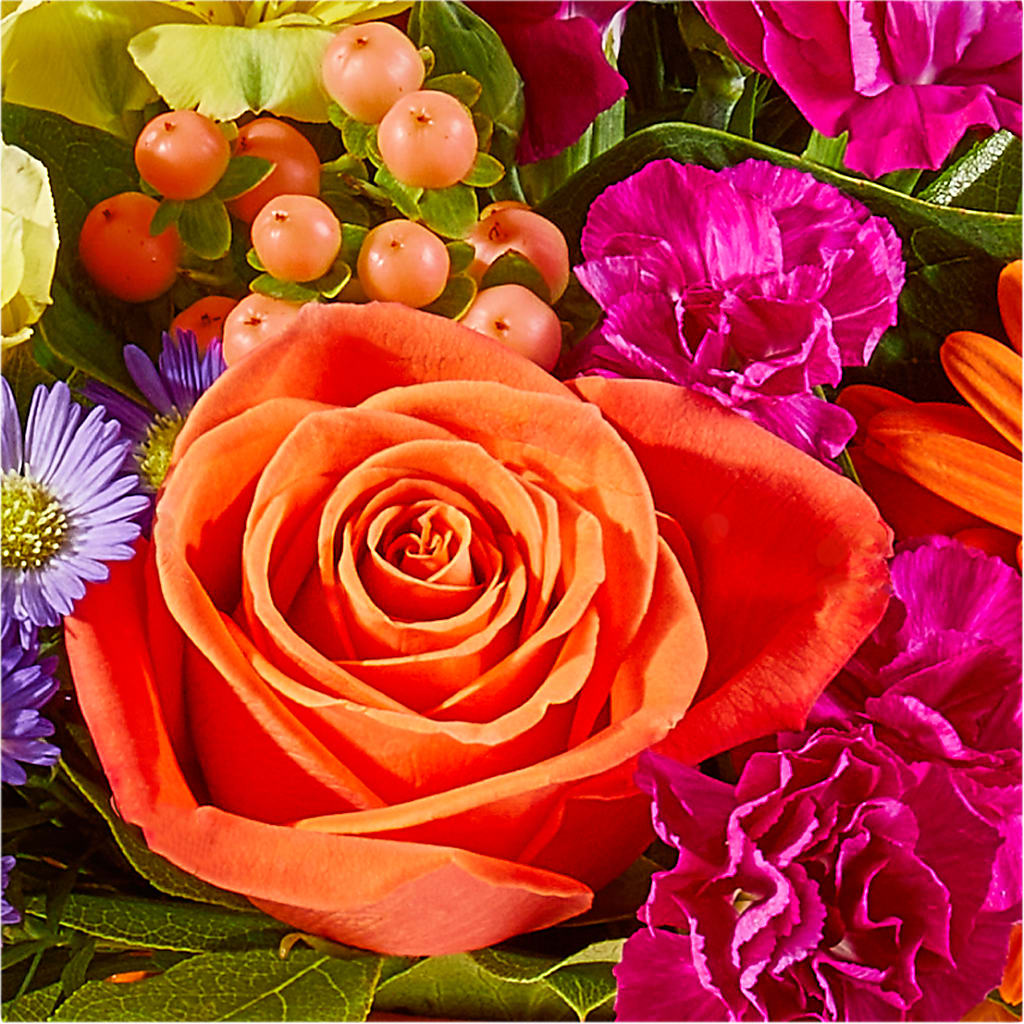 Tricks & Treats Pumpkin – FORGET ME NOT FLOWERS & GIFTS, Walnut Creek CA