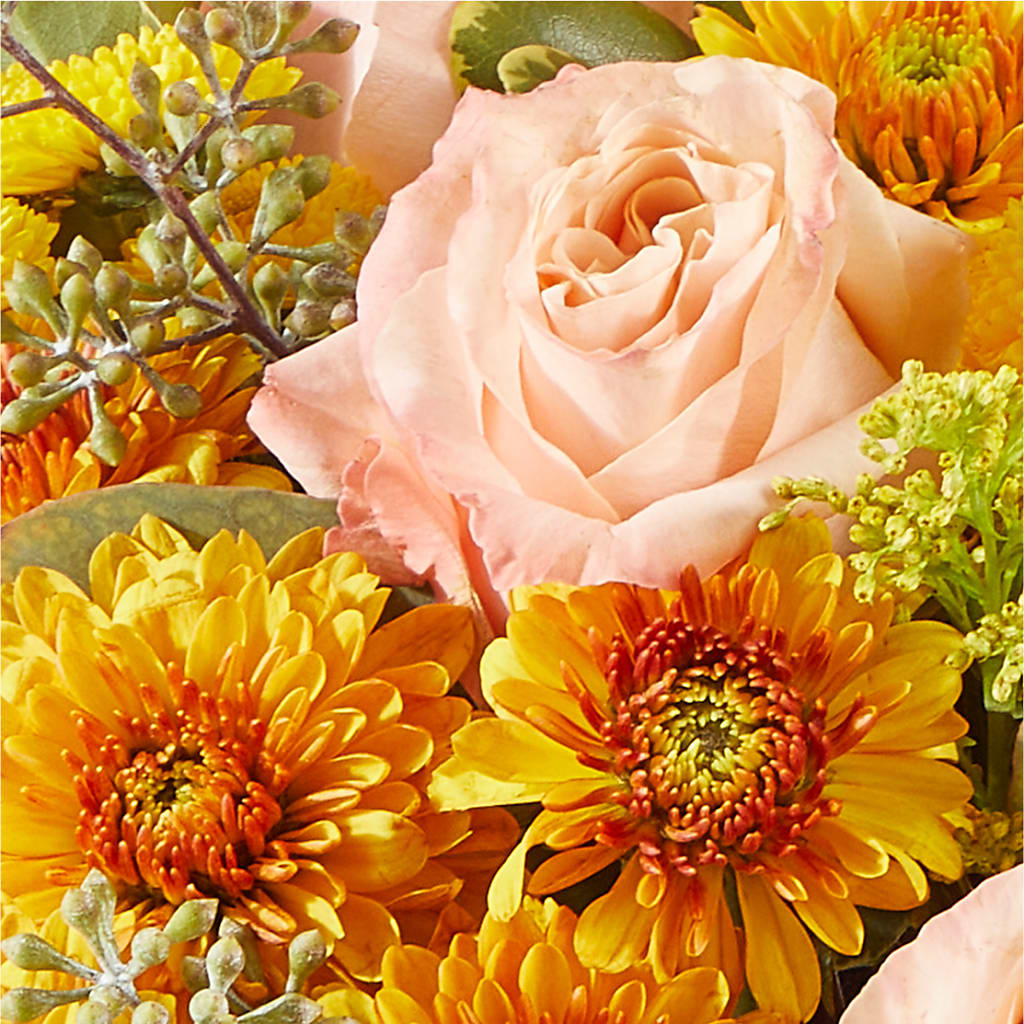 Peachy Pumpkin – FORGET ME NOT FLOWERS & GIFTS, Walnut Creek CA