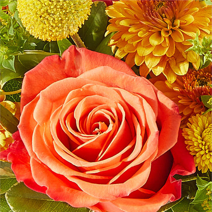 Gourdgeous Pumpkin – FORGET ME NOT FLOWERS & GIFTS, Walnut Creek CA