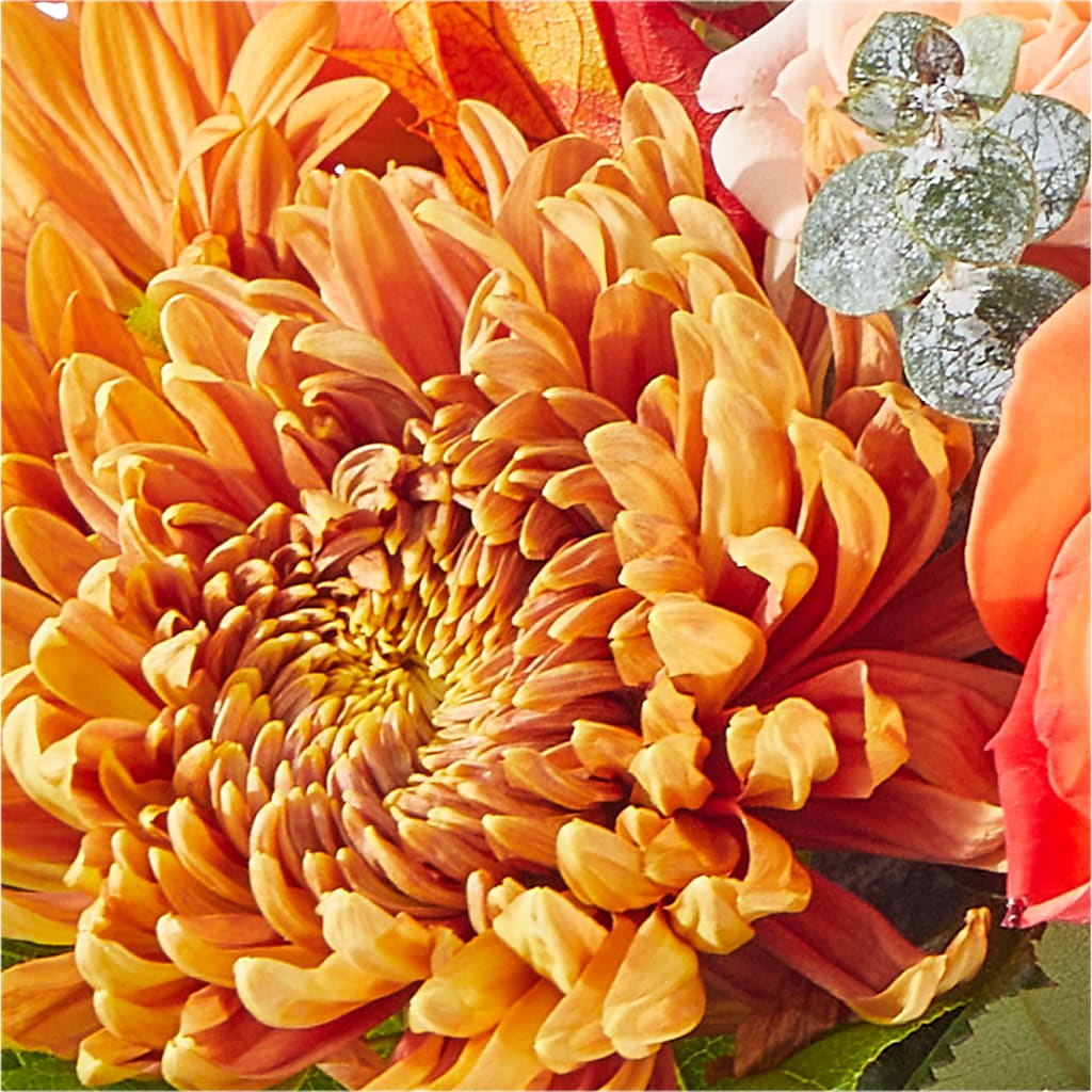 Scenic Route Bouquet – FORGET ME NOT FLOWERS & GIFTS, Walnut Creek CA