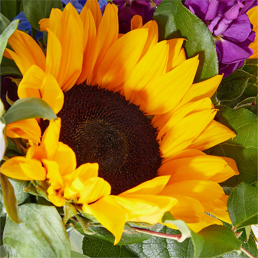 Catching Rays Bouquet – FORGET ME NOT FLOWERS & GIFTS, Walnut Creek CA