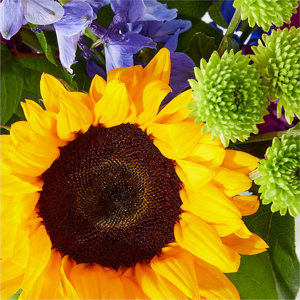Catching Rays Bouquet – FORGET ME NOT FLOWERS & GIFTS, Walnut Creek CA