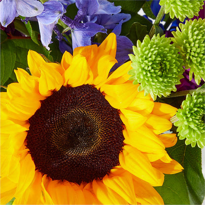 Catching Rays Bouquet – FORGET ME NOT FLOWERS & GIFTS, Walnut Creek CA