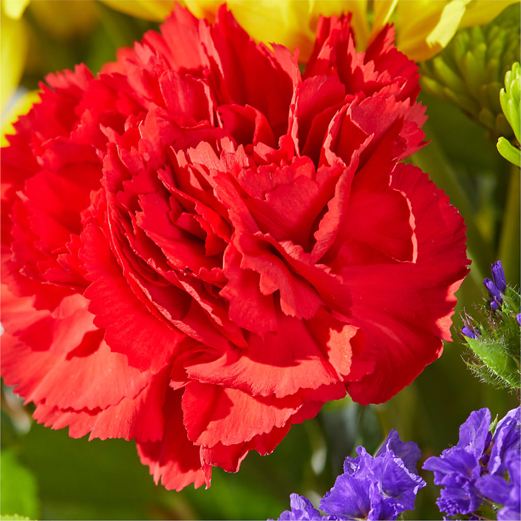 Brighter Days Bouquet – FORGET ME NOT FLOWERS & GIFTS, Walnut Creek CA