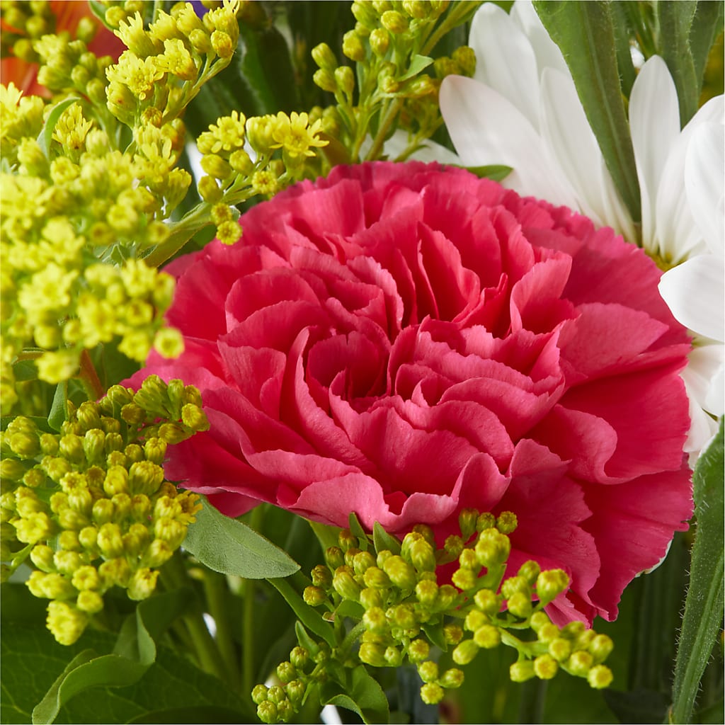 Oopsie Daisy Bouquet – FORGET ME NOT FLOWERS & GIFTS, Walnut Creek CA