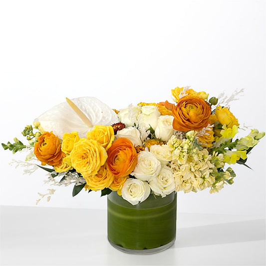 The Optimist – FORGET ME NOT FLOWERS & GIFTS, Walnut Creek CA