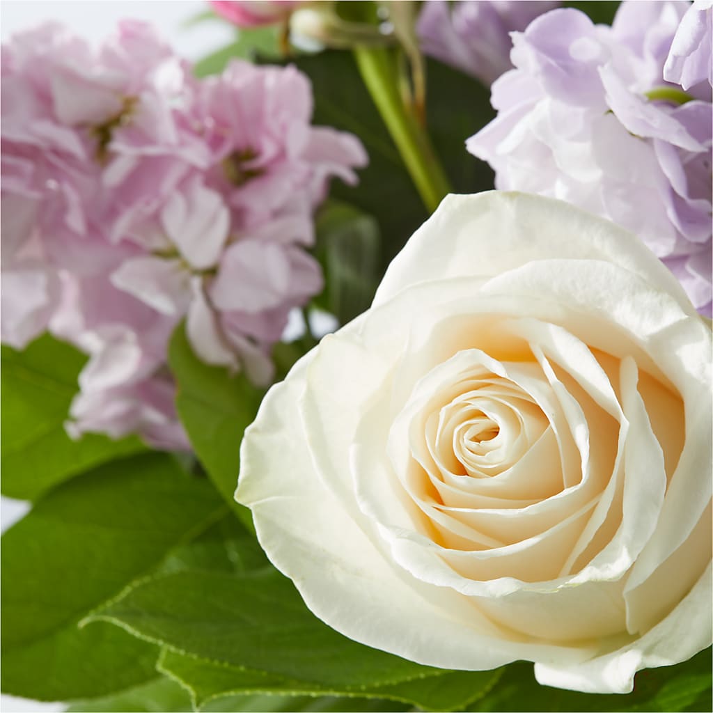 Springtime Spritz Bouquet – FORGET ME NOT FLOWERS & GIFTS, Walnut Creek CA