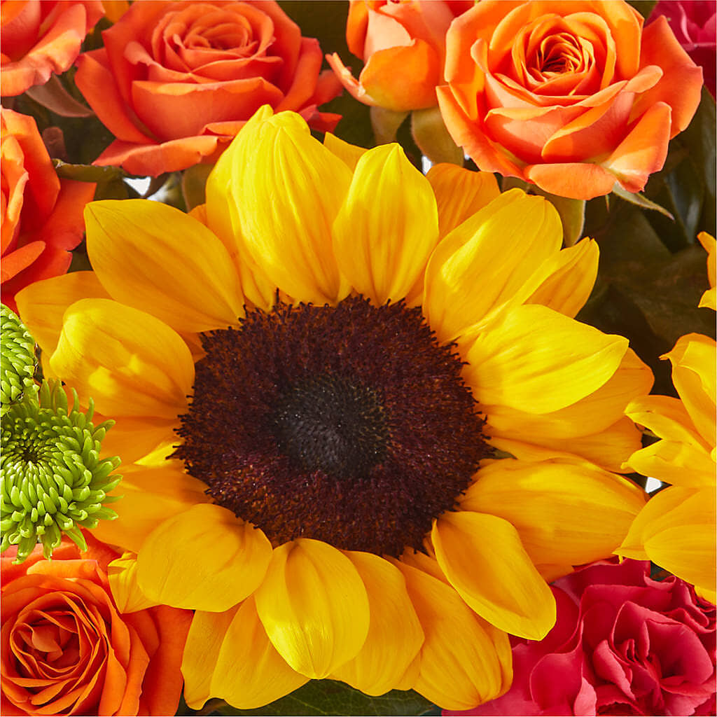 Sun-drenched Blooms Box Bouquet – FORGET ME NOT FLOWERS & GIFTS, Walnut Creek CA