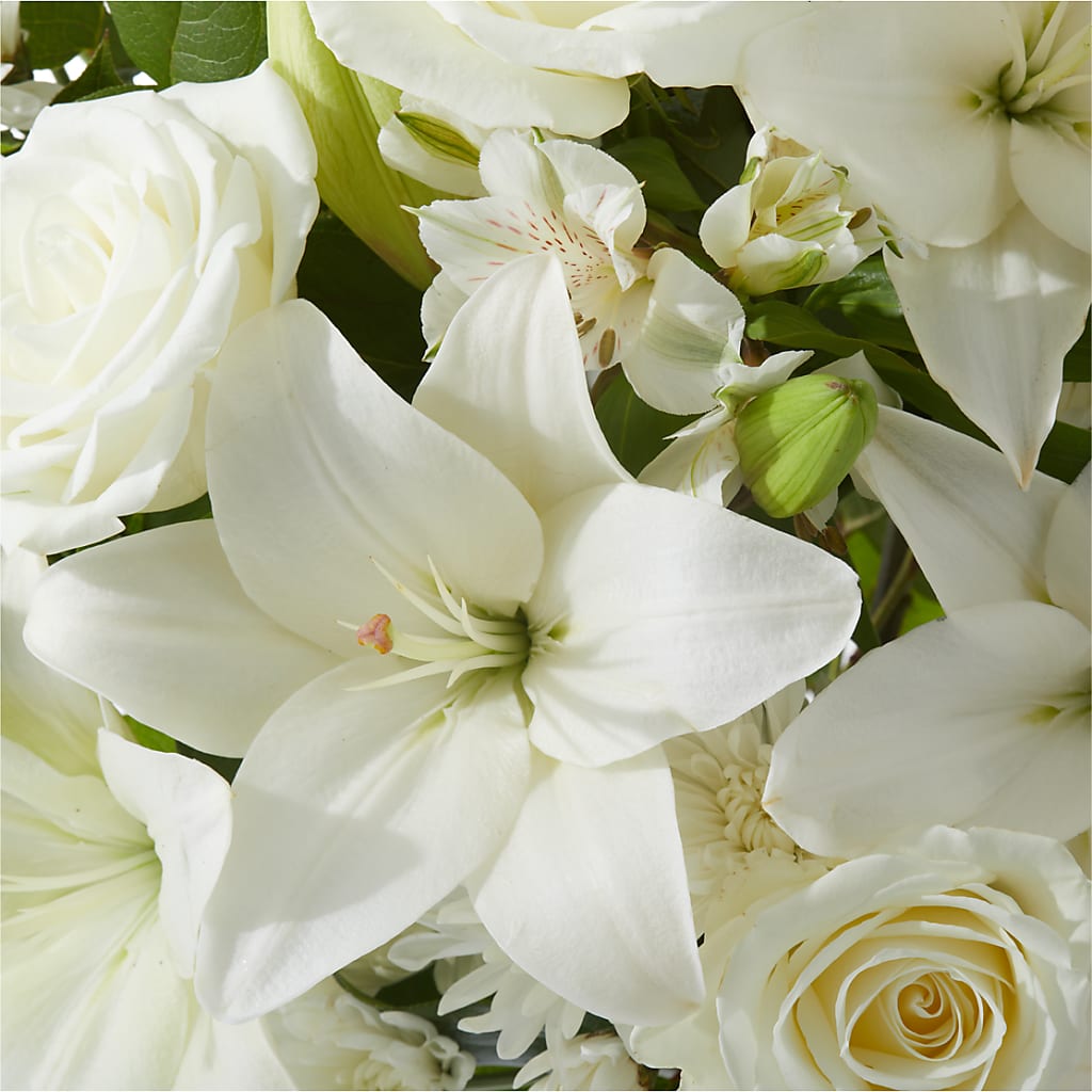 Peaceful Reflections Arrangement – FORGET ME NOT FLOWERS & GIFTS, Walnut Creek CA