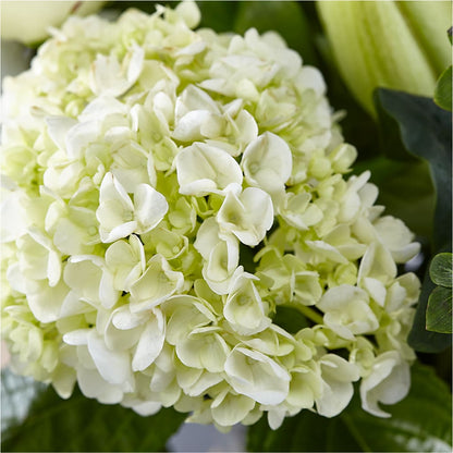 Classic Ivory – A Florist Original – FORGET ME NOT FLOWERS & GIFTS, Walnut Creek CA