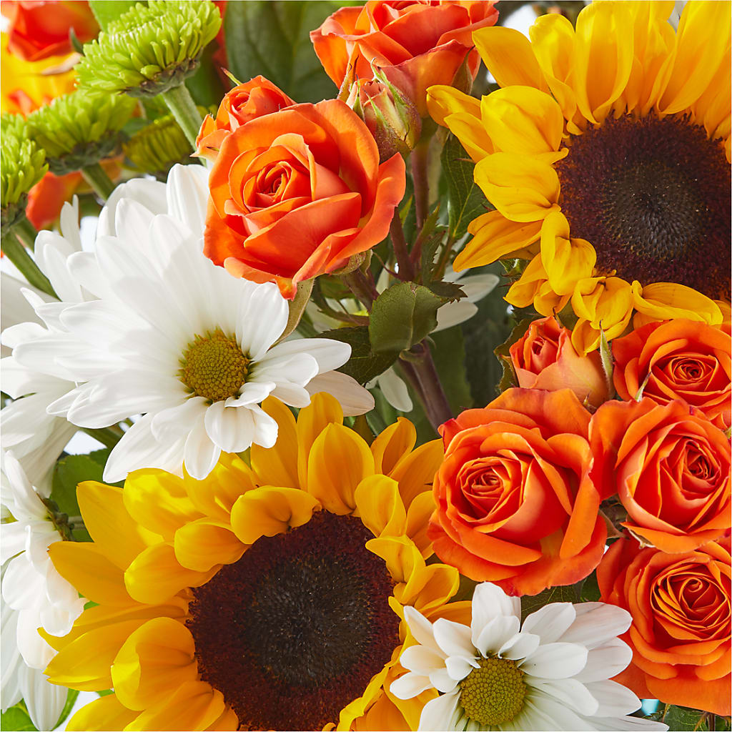 Sun-drenched Blooms Bouquet – FORGET ME NOT FLOWERS & GIFTS, Walnut Creek CA