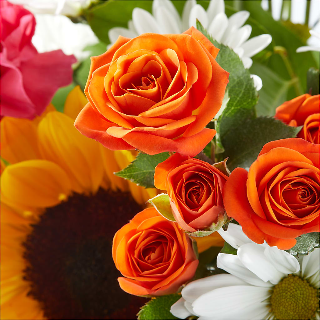 Sun-drenched Blooms Bouquet – FORGET ME NOT FLOWERS & GIFTS, Walnut Creek CA