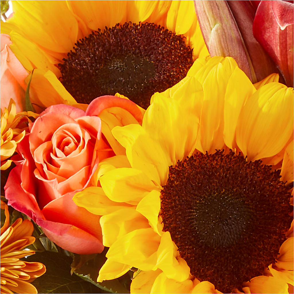 Acorn Lane Bouquet – FORGET ME NOT FLOWERS & GIFTS, Walnut Creek CA