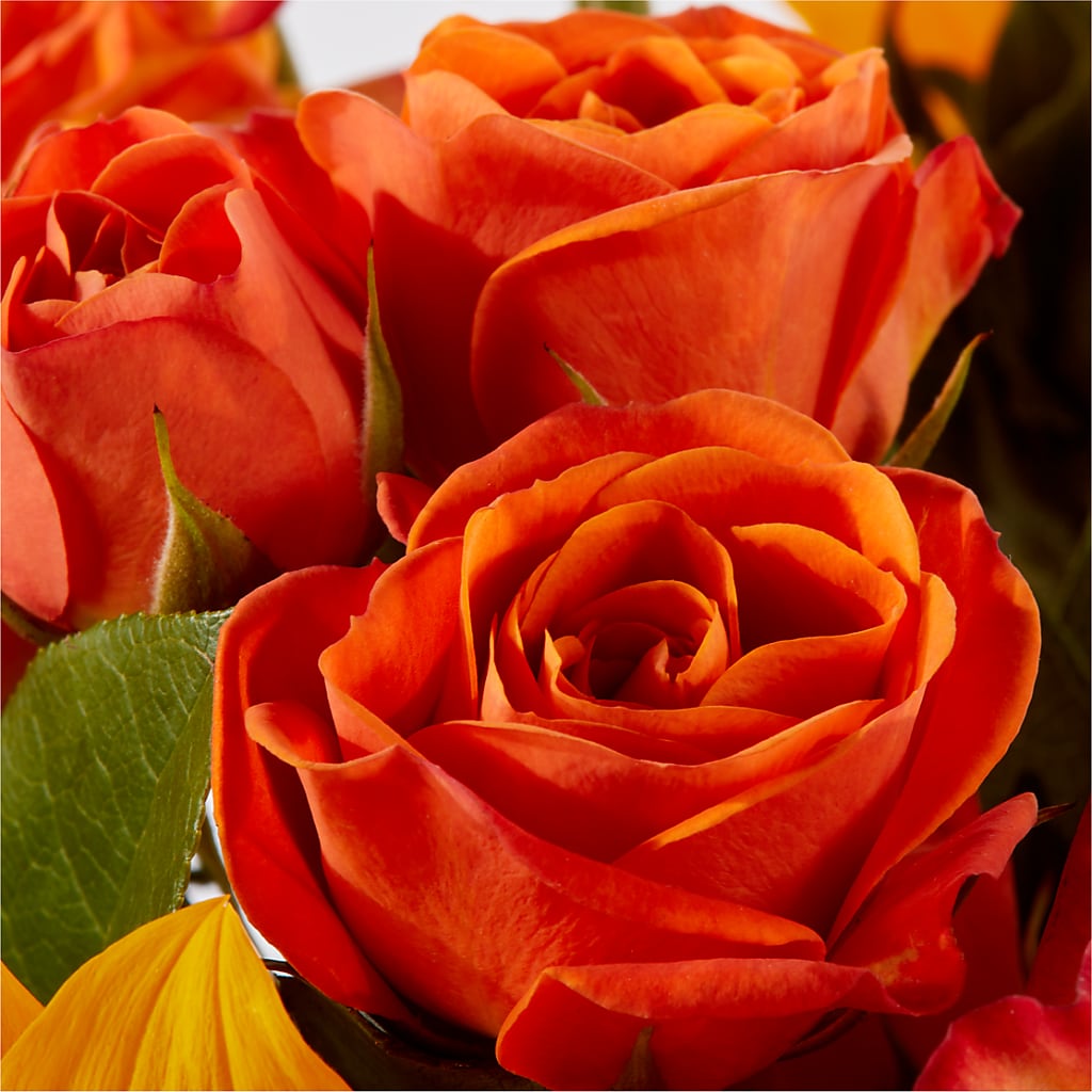 Picnic in the Park Bouquet – FORGET ME NOT FLOWERS & GIFTS, Walnut Creek CA