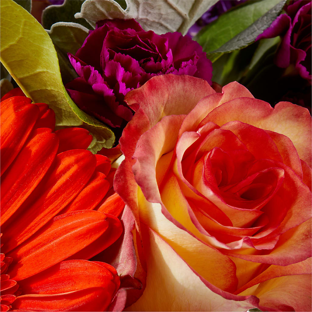 Sangria Bouquet – FORGET ME NOT FLOWERS & GIFTS, Walnut Creek CA