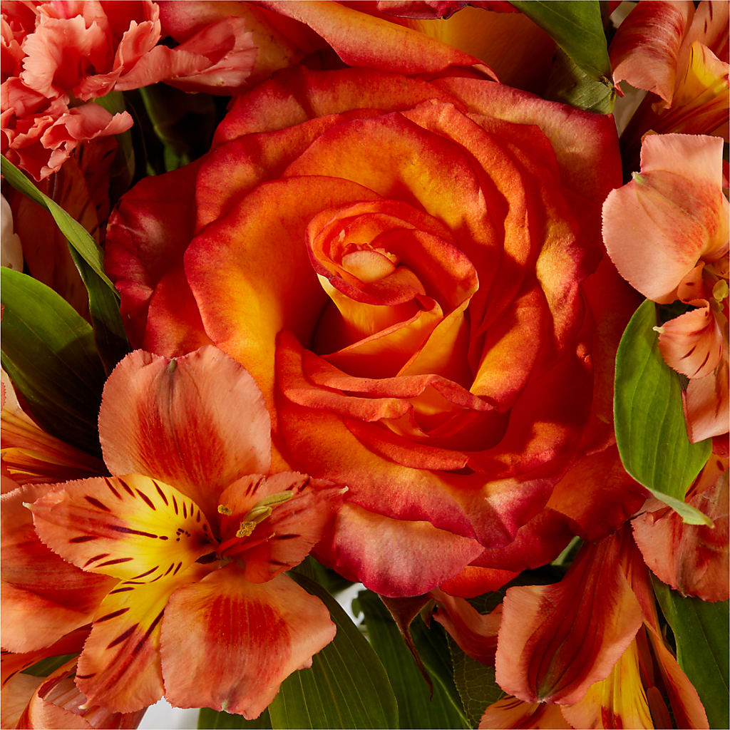 Apricot Glow Bouquet – FORGET ME NOT FLOWERS & GIFTS, Walnut Creek CA