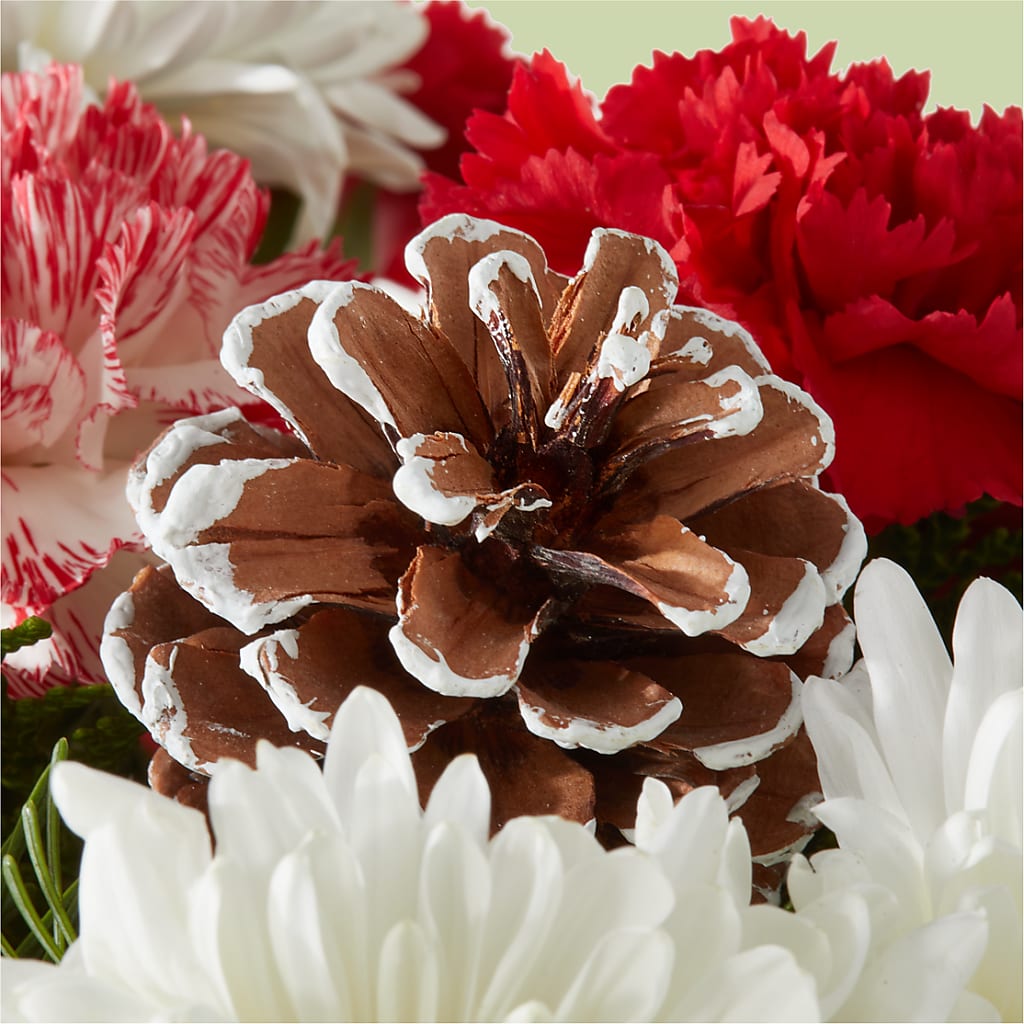 Candy Cane Lane Bouquet – FORGET ME NOT FLOWERS & GIFTS, Walnut Creek CA